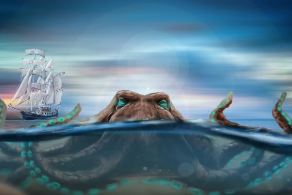 Gidra магазин