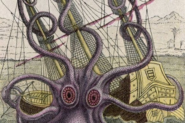 Как найти kraken
