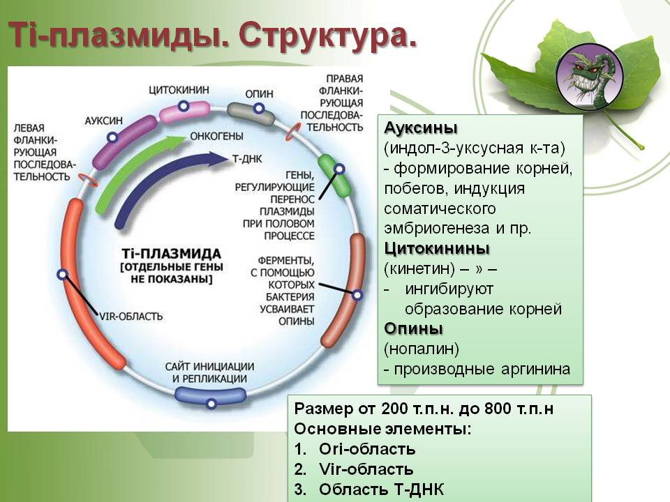 Кракен ссылка на сайт