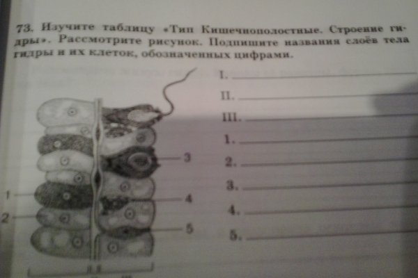 Kraken новая ссылка